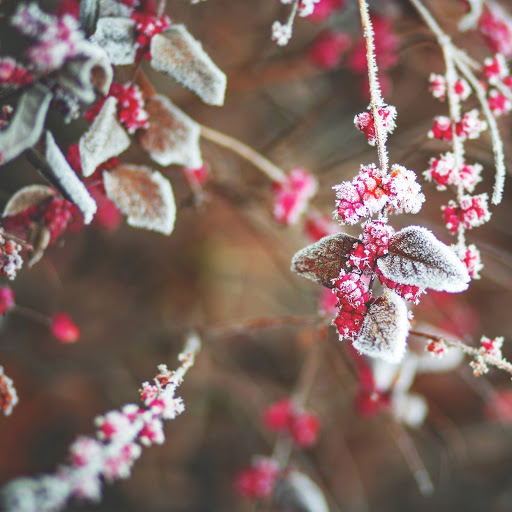 Hd-185353-ascw185353