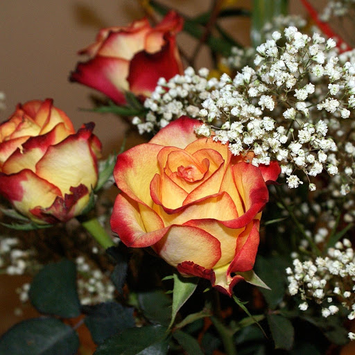 Hd-178166-ascw178166