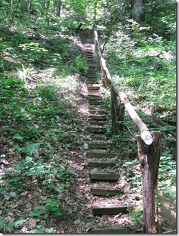 Laurel Valley stairs