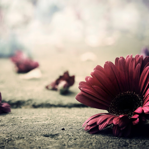 Hd-149382-ascw149382