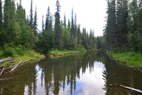 overflow channel of the Klondike River