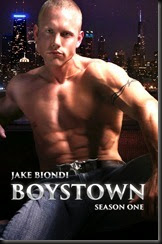 Boystown Season 1 Book Cover 300