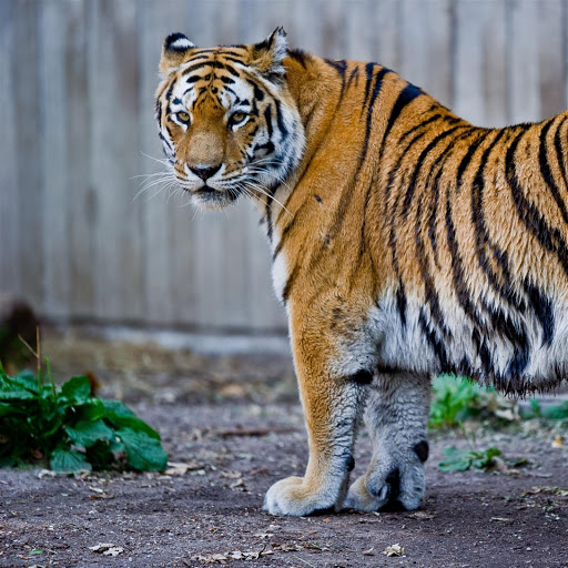 Hd-173938-ascw173938