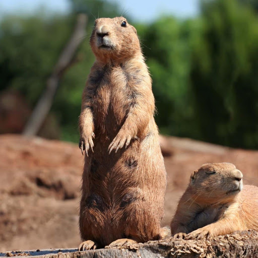 Hd-170844-ascw170844