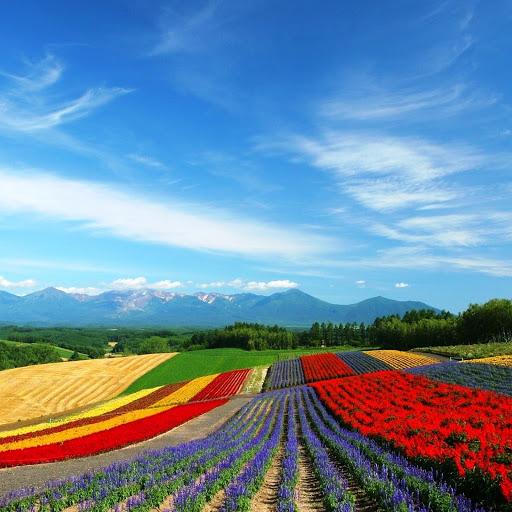 Hd-146357-ascw146357