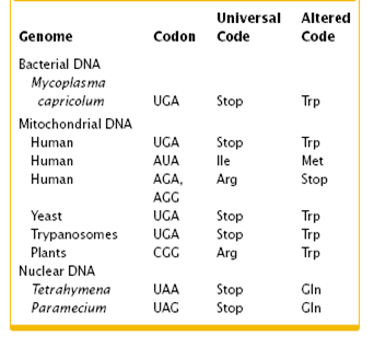 Universal Genetic Code Chart Answers