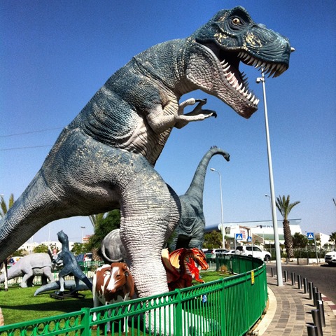 IMG_0917 IMG_0917