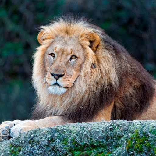 Hd-185945-ascw185945