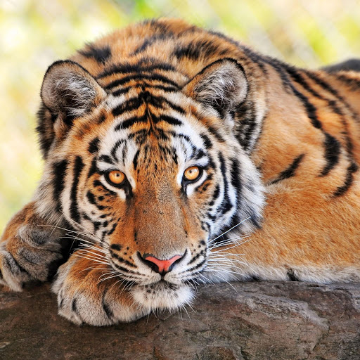 Hd-159724-ascw159724