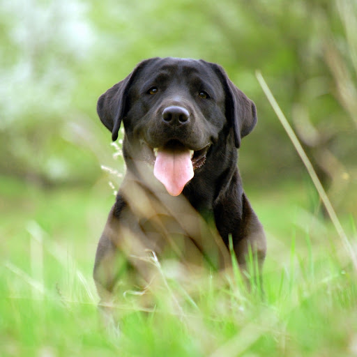 Hd-174434-ascw174434