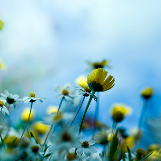 Hd-170663-ascw170663