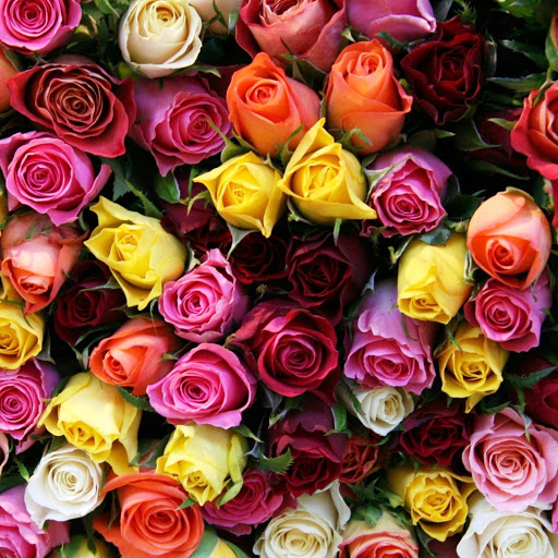 Hd-146383-ascw146383