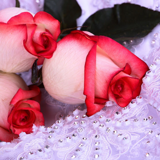 Hd-139290-ascw139290