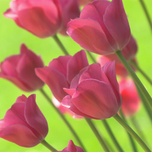 Hd-144261-ascw144261