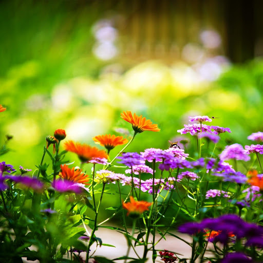 Hd-146191-ascw146191