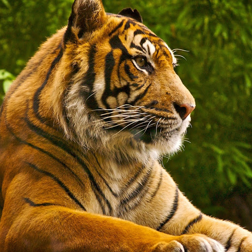 Hd-173576-ascw173576