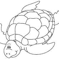 SEA ANIMALS COLORING PAGES