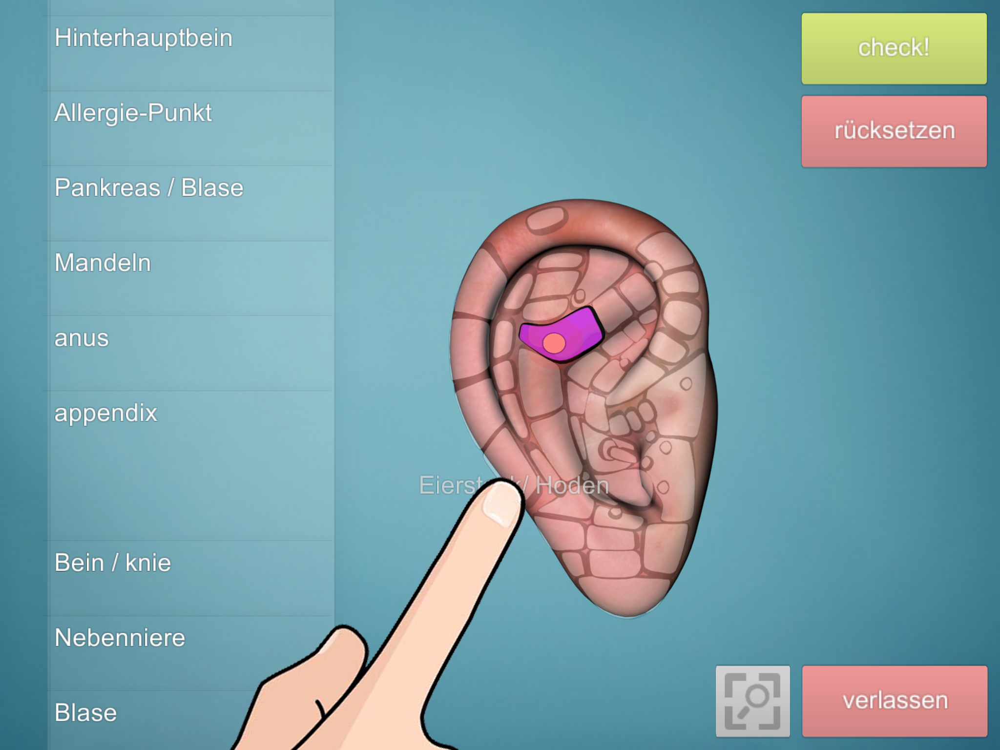 Android application Drag&Drop Reflexology- ears screenshort
