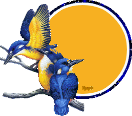 [blinkiebluebirdshpsp102.gif]