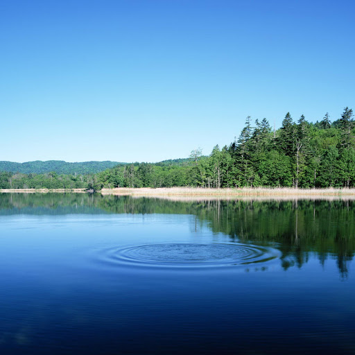 Hd-141220-ascw141220