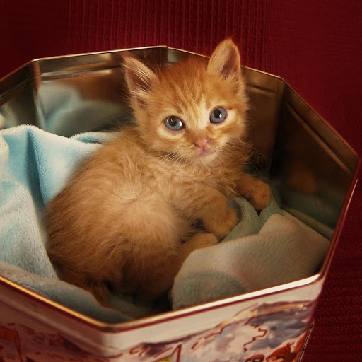 Hd-177589-ascw177589