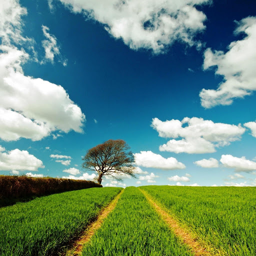 Hd-146104-ascw146104