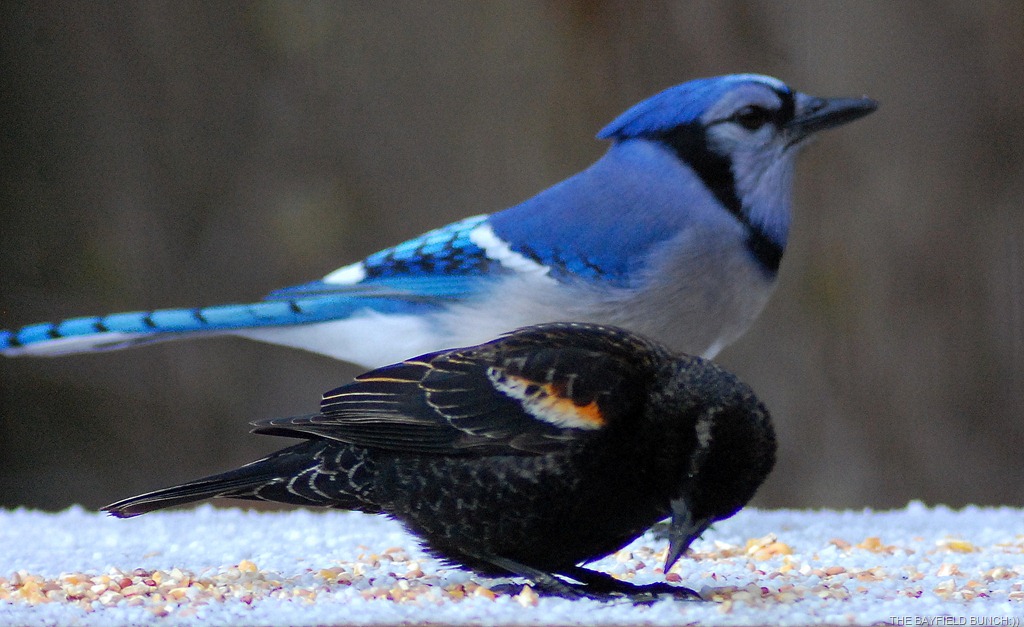 [DSC_9229%255B4%255D.jpg]