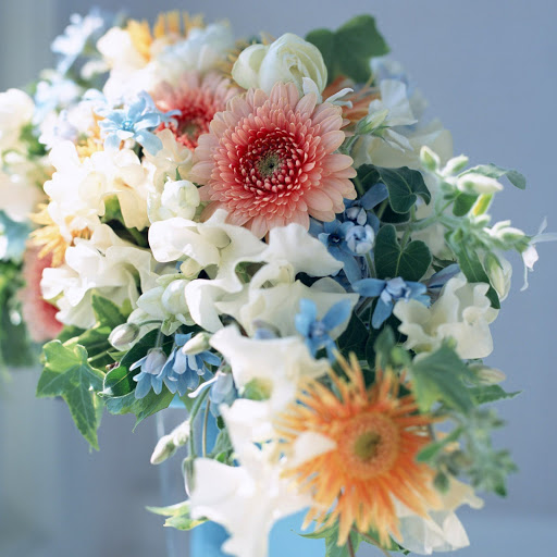 Hd-146465-ascw146465