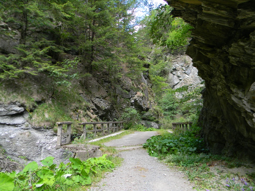 [DSCN40443.jpg]