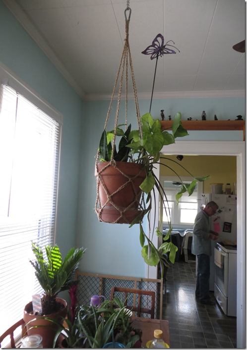 Crochet plant hanger (free pattern)
