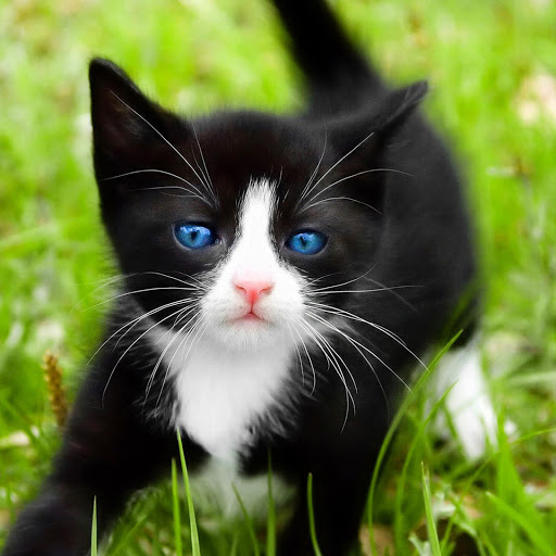 Hd-177683-ascw177683