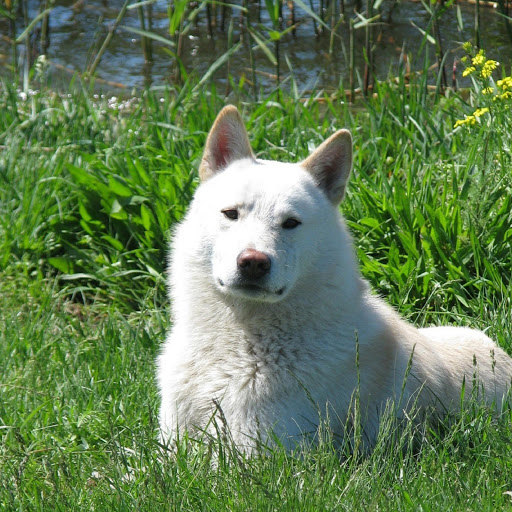 Hd-180678-ascw180678