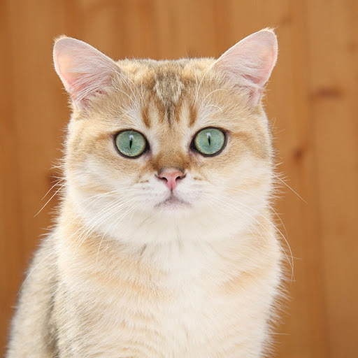 Hd-176795-ascw176795