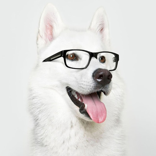 Hd-167133-ascw167133