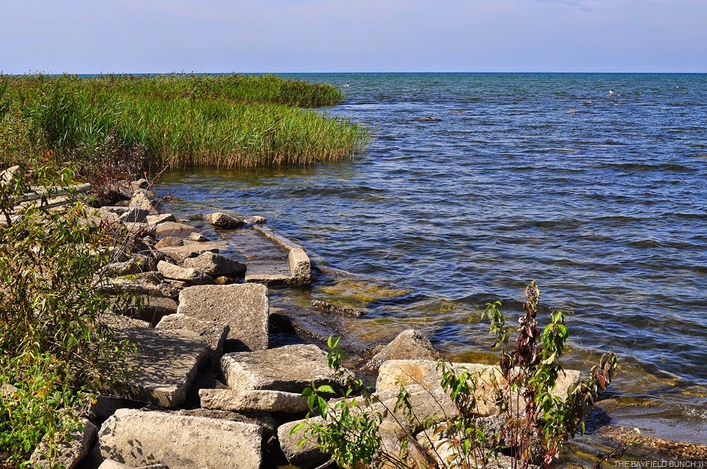 [DSC_0041%255B4%255D.jpg]