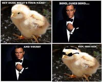 [james%2520bond%2520trolled%255B5%255D.jpg]