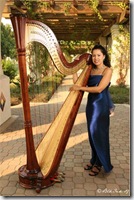 harp 豎琴