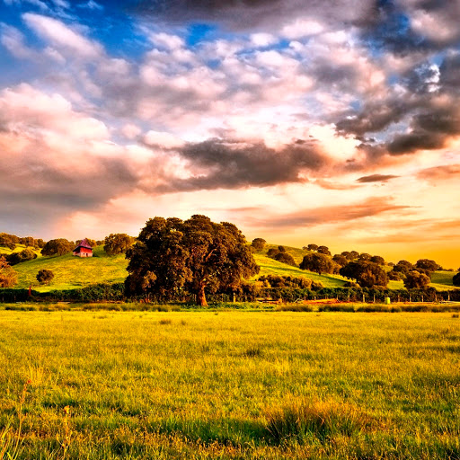 Hd-147302-ascw147302