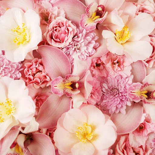 Hd-144279-ascw144279