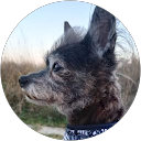 Photo of Crystal Wilkins