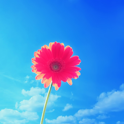 Hd-169650-ascw169650