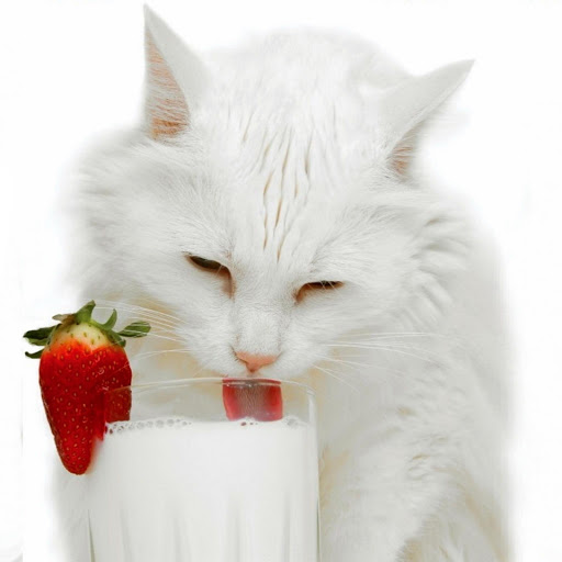 Hd-176519-ascw176519