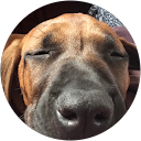 Jonathan Kerr profile picture