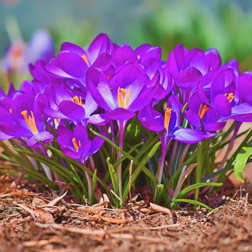 Hd-175082-ascw175082