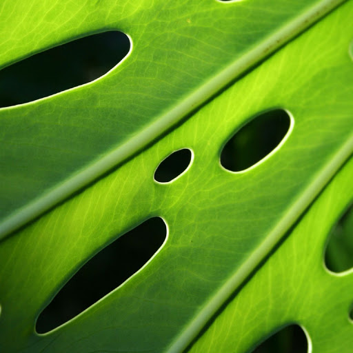 Hd-170576-ascw170576