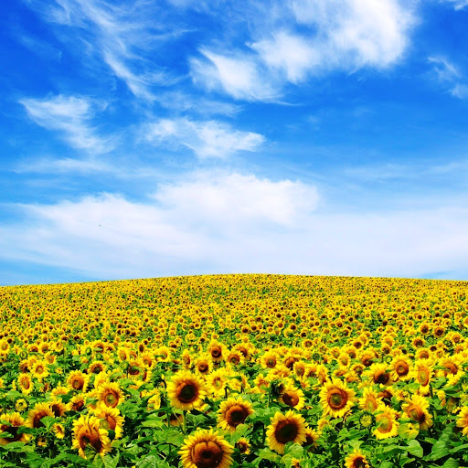 Hd-142183-ascw142183