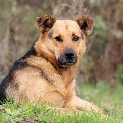 Hd-180694-ascw180694