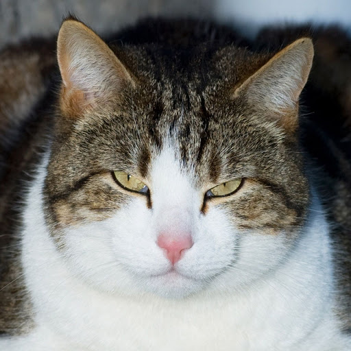 Hd-148575-ascw148575