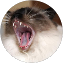 Image Google de Phil 75018