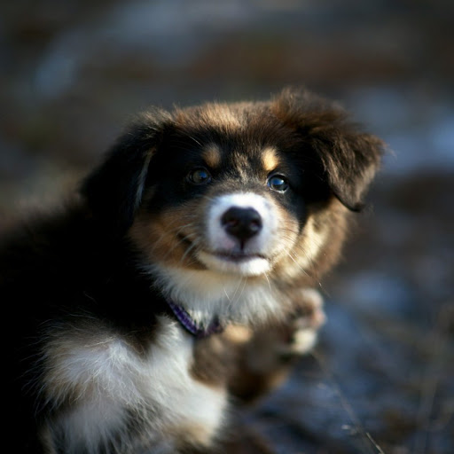 Hd-173774-ascw173774